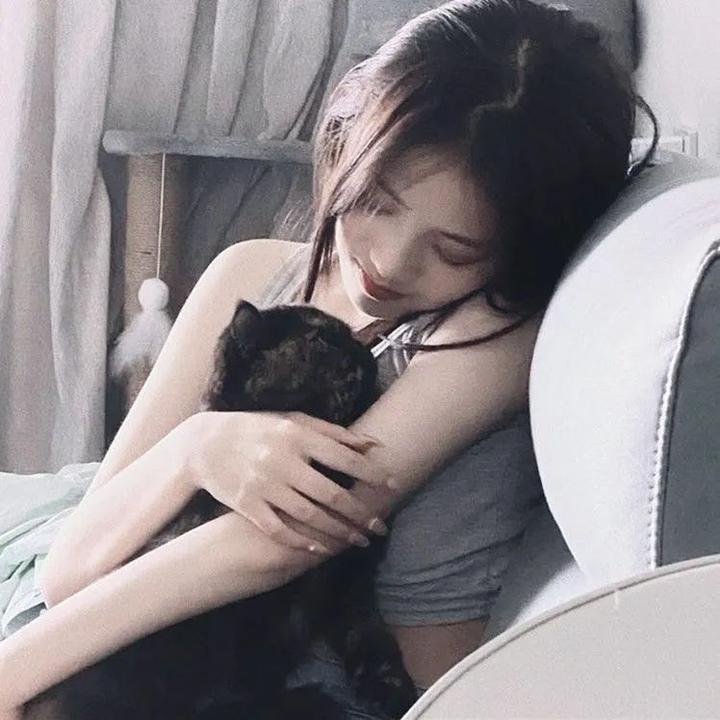 翼·年代记 剧场版 鸟笼国的公主